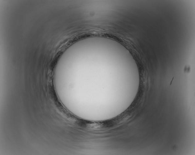 X0000111390511200907101004