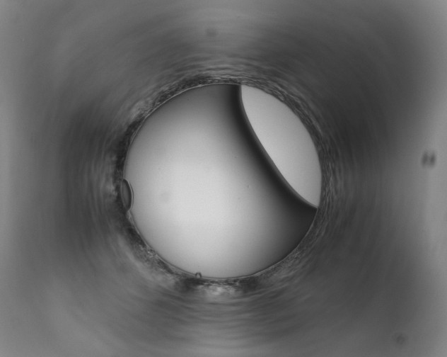 X0000111390512200907101004
