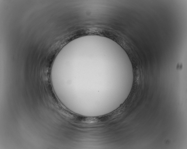 X0000111390514200907101004