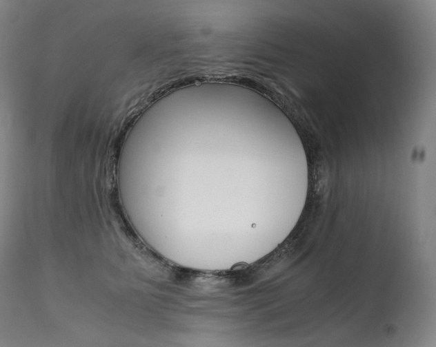 X0000111390515200907101004