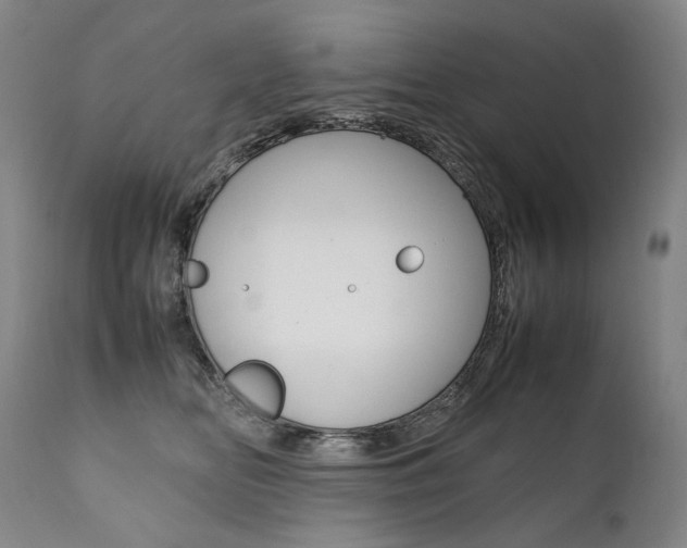 X0000111390518200907101004