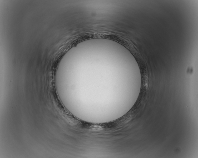 X0000111390519200907101004