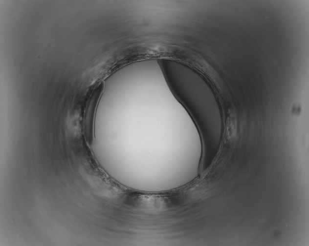 X0000111390520200907101004