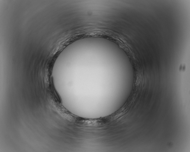 X0000111390524200907101004