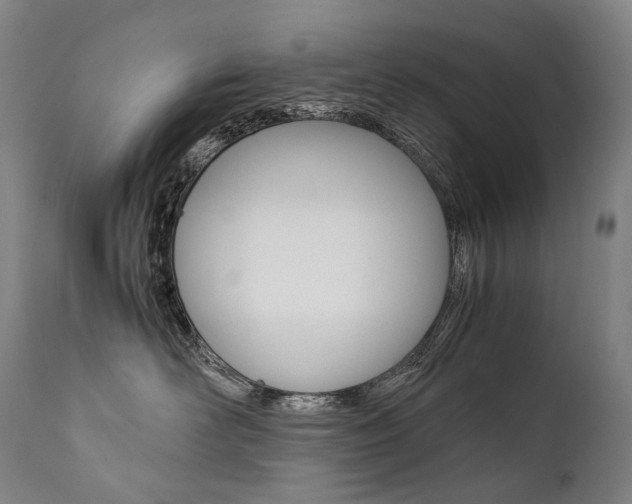 X0000111390526200907101004