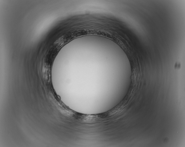 X0000111390527200907101004