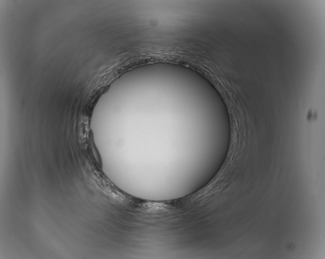 X0000111390528200907101003