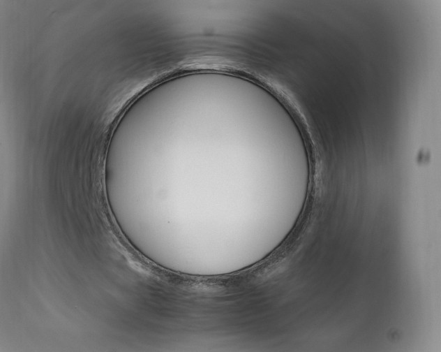 X0000111390529200907101003