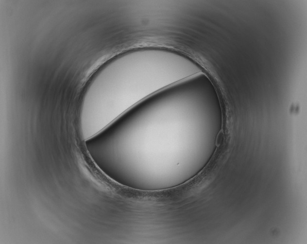 X0000111390530200907101003