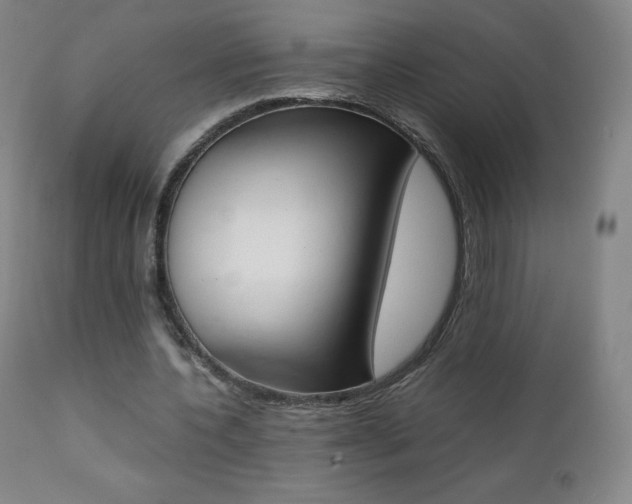 X0000111390532200907101003