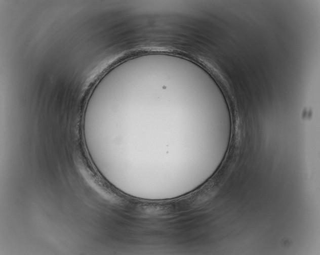 X0000111390533200907101003