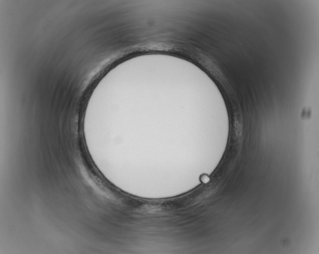 X0000111390534200907101003