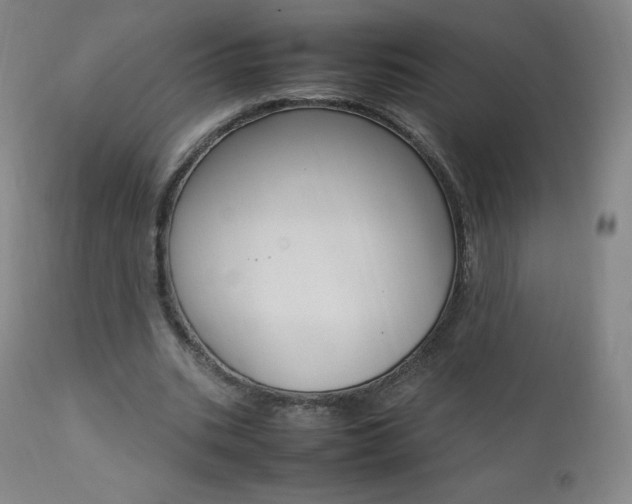 X0000111390535200907101003