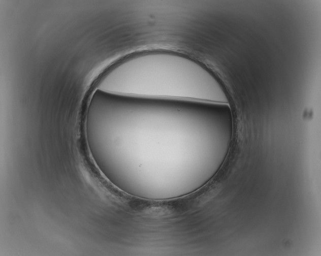 X0000111390536200907101003