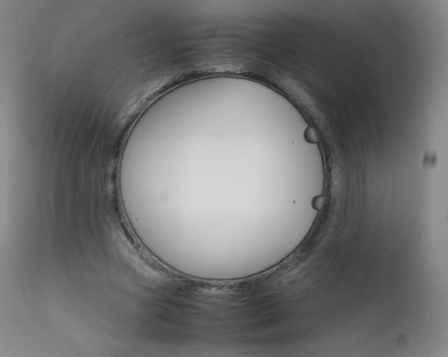 X0000111390537200907101003