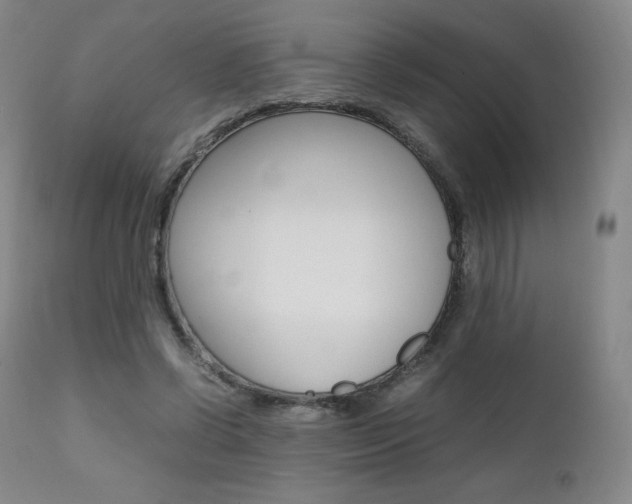 X0000111390542200907101003