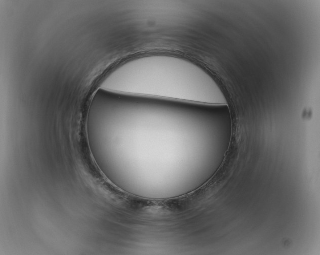 X0000111390544200907101003
