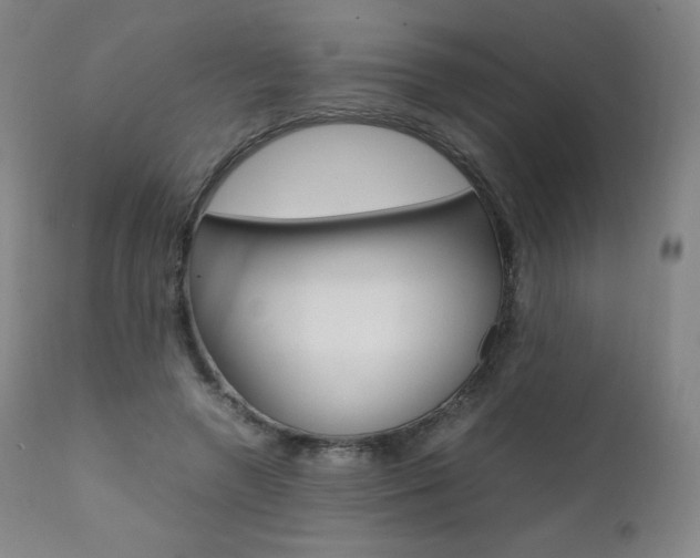 X0000111390546200907101003