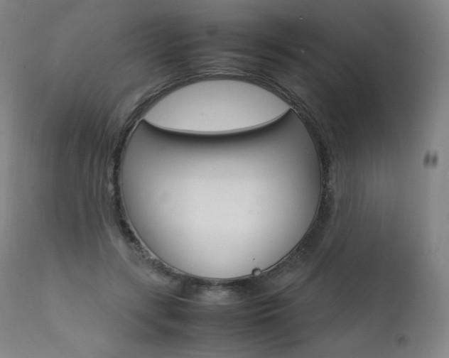 X0000111390547200907101003