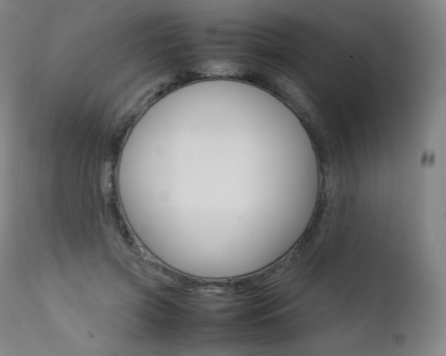 X0000111390549200907101003