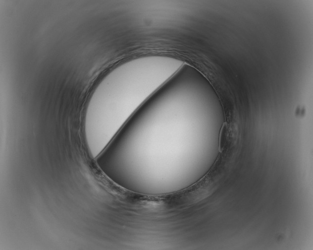 X0000111390552200907101003