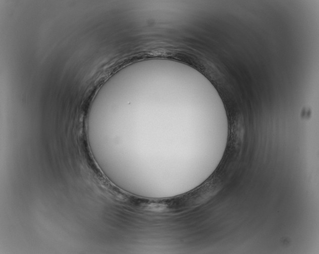 X0000111390554200907101003
