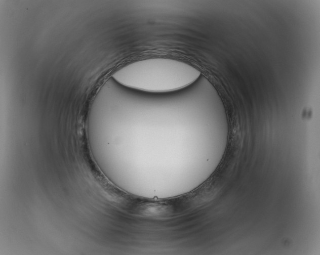 X0000111390555200907101003