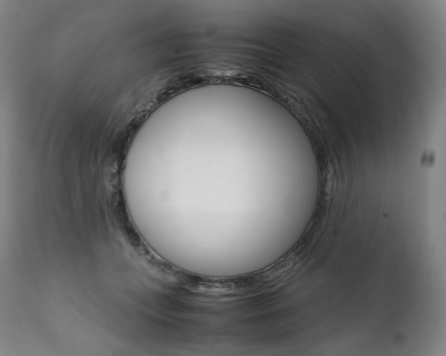 X0000111390559200907101003