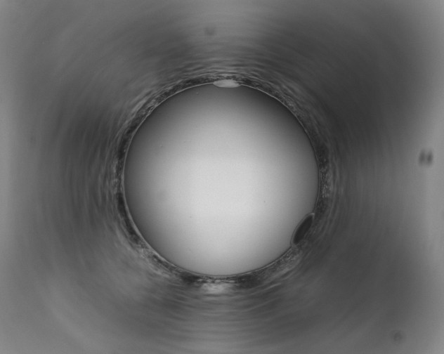 X0000111390560200907101003