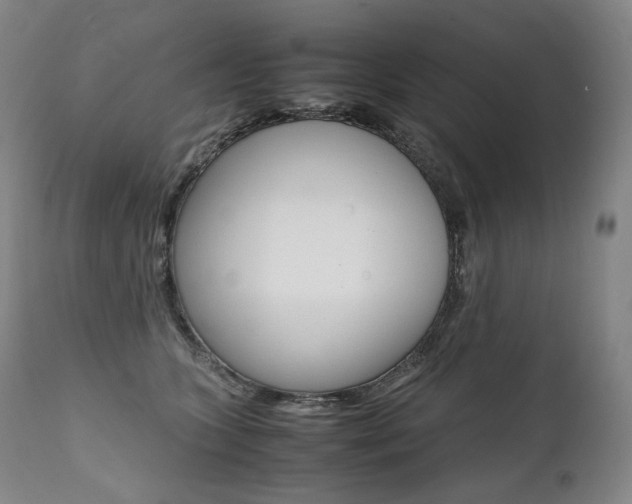 X0000111390563200907101003