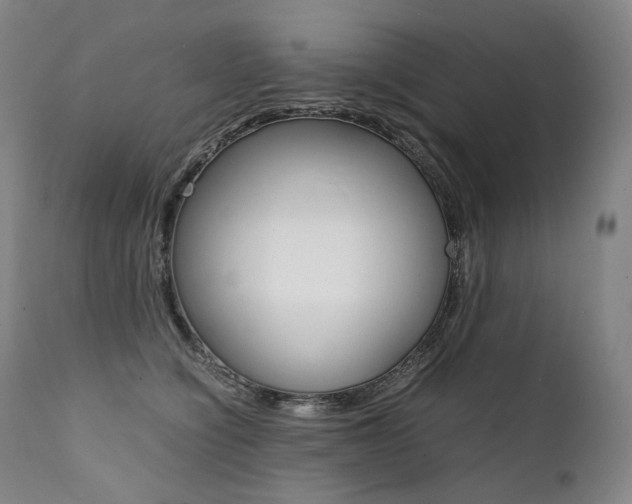 X0000111390564200907101003