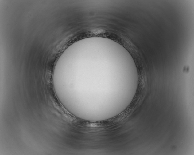 X0000111390565200907101003