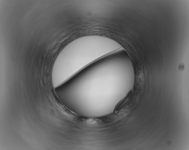 X0000111390566200907101003