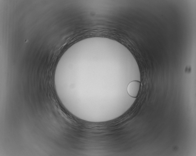 X0000111390568200907101003