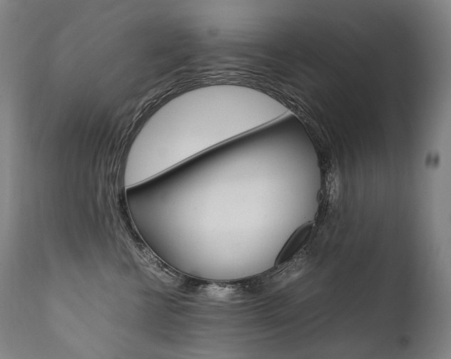 X0000111390570200907101003