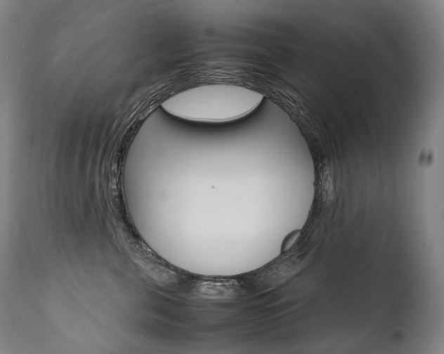 X0000111390571200907101003