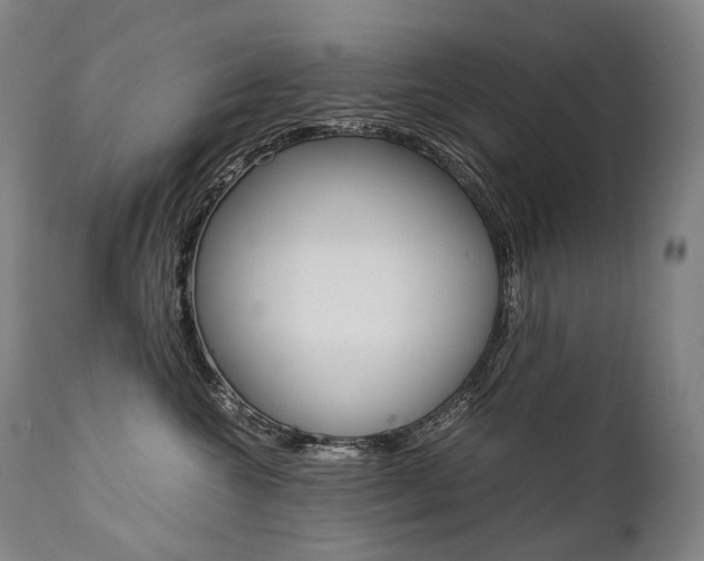 X0000111390572200907101003