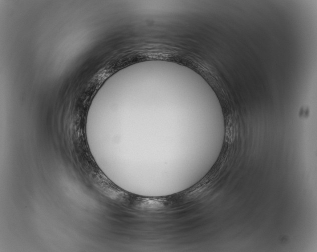 X0000111390573200907101003