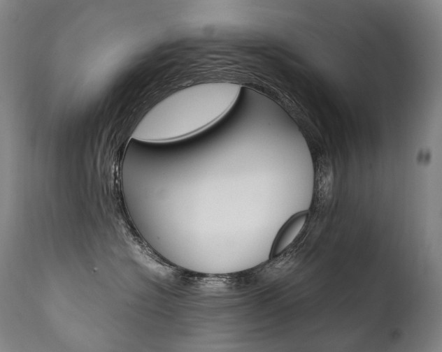 X0000111390574200907101003