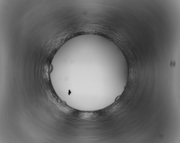X0000111390575200907101003