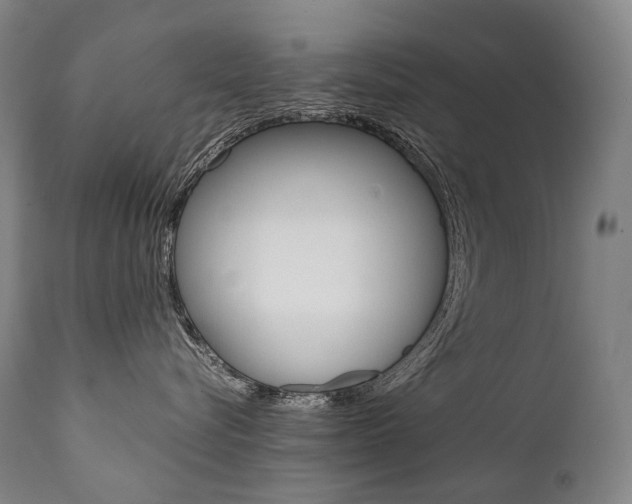 X0000111390576200907101003