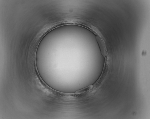 X0000111390577200907101003