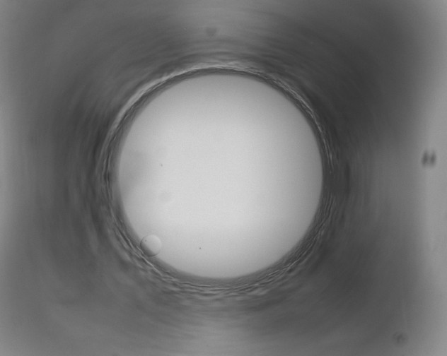 X0000111390579200907101003