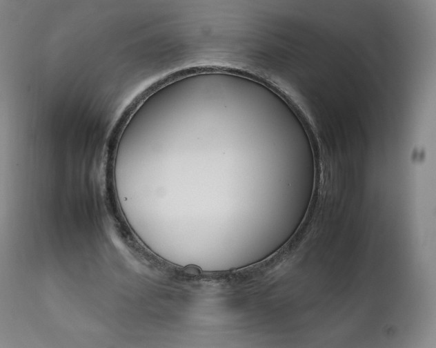 X0000111390580200907101003