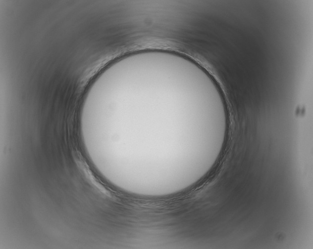 X0000111390581200907101003