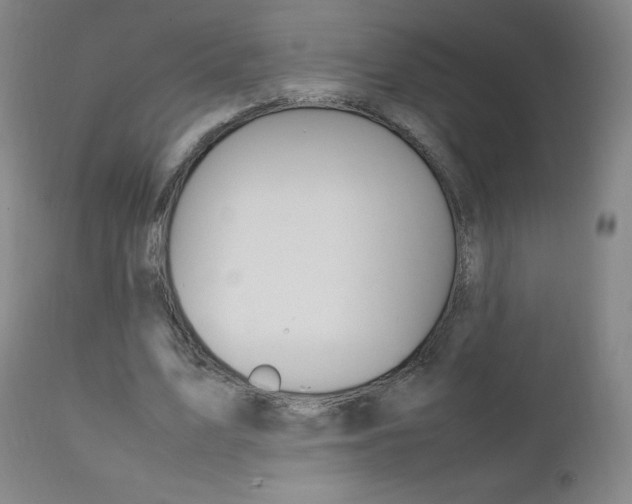 X0000111390583200907101003