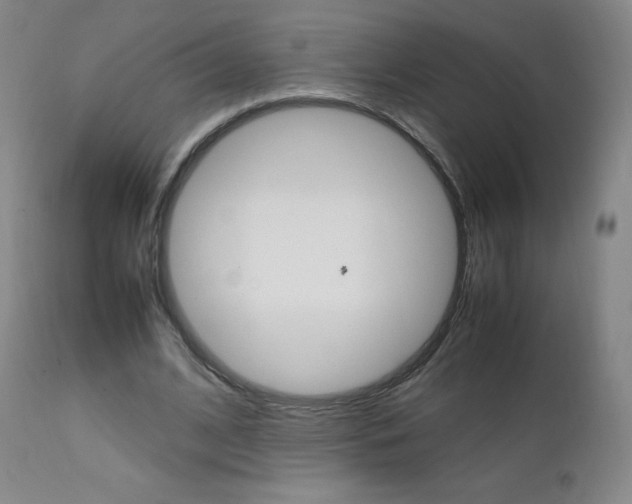 X0000111390584200907101003