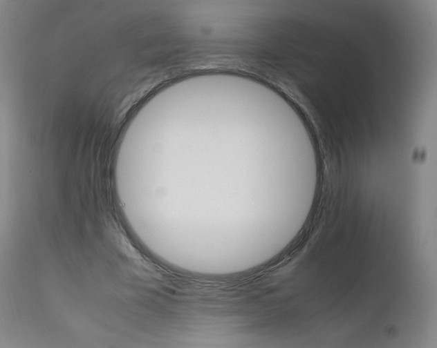 X0000111390585200907101003