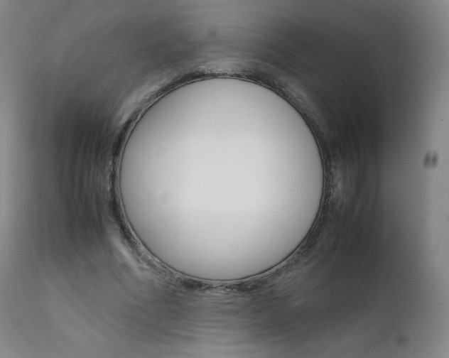 X0000111390586200907101003