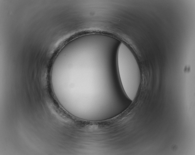 X0000111390588200907101002